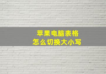 苹果电脑表格怎么切换大小写