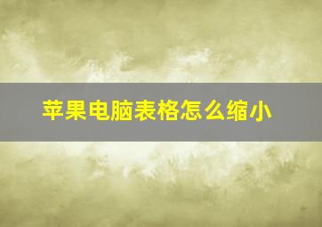 苹果电脑表格怎么缩小