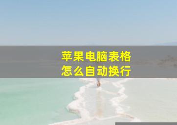 苹果电脑表格怎么自动换行