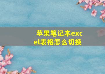 苹果笔记本excel表格怎么切换