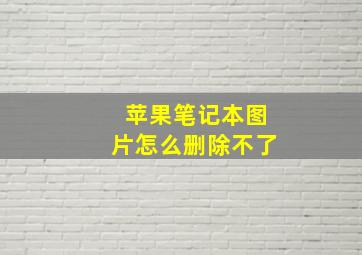 苹果笔记本图片怎么删除不了