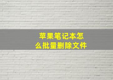 苹果笔记本怎么批量删除文件