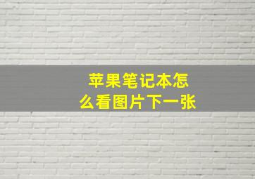 苹果笔记本怎么看图片下一张