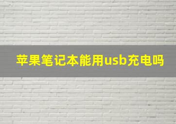 苹果笔记本能用usb充电吗