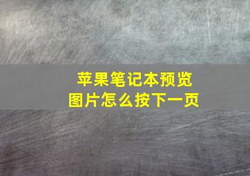 苹果笔记本预览图片怎么按下一页