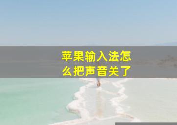 苹果输入法怎么把声音关了