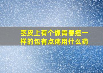 茎皮上有个像青春痘一样的包有点疼用什么药