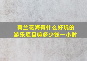 荷兰花海有什么好玩的游乐项目嘛多少钱一小时