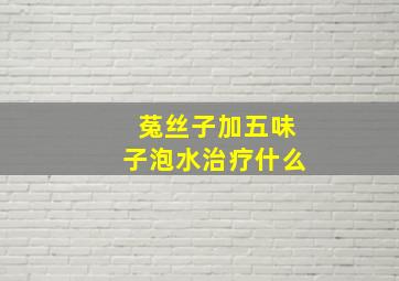 菟丝子加五味子泡水治疗什么