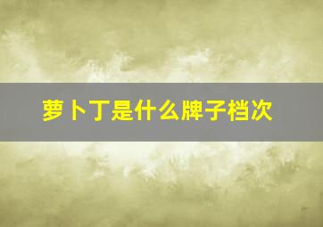 萝卜丁是什么牌子档次