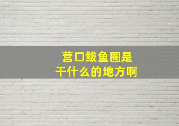 营口鲅鱼圈是干什么的地方啊