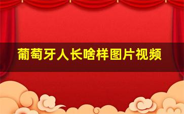 葡萄牙人长啥样图片视频