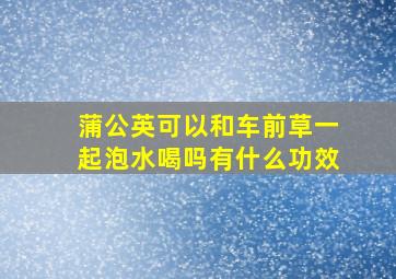 蒲公英可以和车前草一起泡水喝吗有什么功效