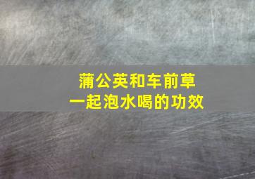 蒲公英和车前草一起泡水喝的功效