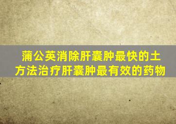 蒲公英消除肝囊肿最快的土方法治疗肝囊肿最有效的药物