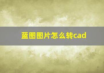 蓝图图片怎么转cad