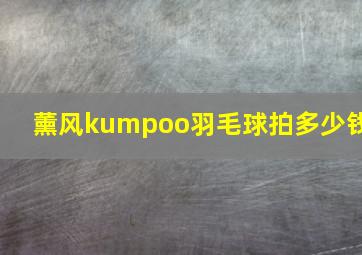 薰风kumpoo羽毛球拍多少钱