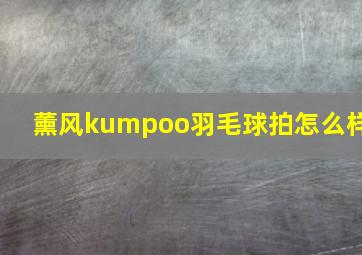 薰风kumpoo羽毛球拍怎么样