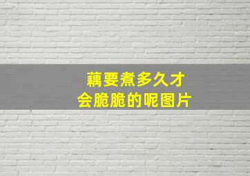 藕要煮多久才会脆脆的呢图片