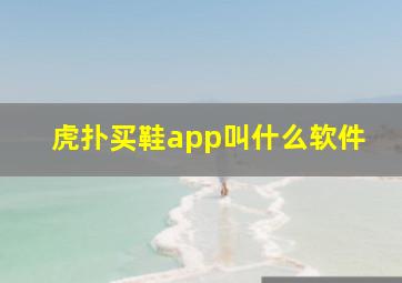 虎扑买鞋app叫什么软件