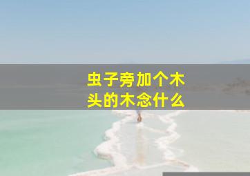 虫子旁加个木头的木念什么