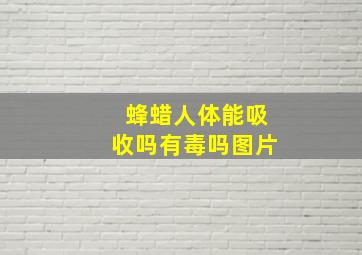 蜂蜡人体能吸收吗有毒吗图片