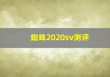 蜘蛛2020sv测评