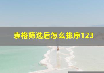 表格筛选后怎么排序123