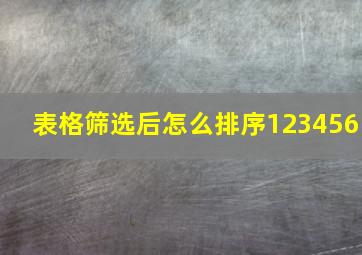 表格筛选后怎么排序123456