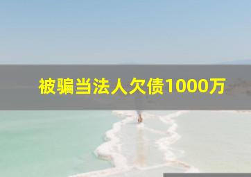 被骗当法人欠债1000万