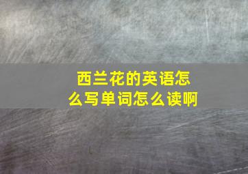 西兰花的英语怎么写单词怎么读啊