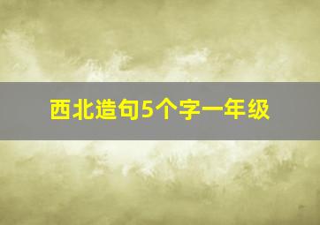 西北造句5个字一年级