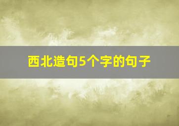 西北造句5个字的句子