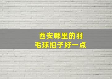 西安哪里的羽毛球拍子好一点