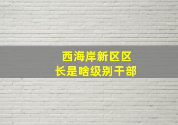 西海岸新区区长是啥级别干部