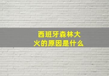 西班牙森林大火的原因是什么