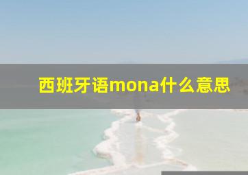 西班牙语mona什么意思