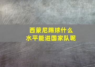 西蒙尼踢球什么水平能进国家队呢