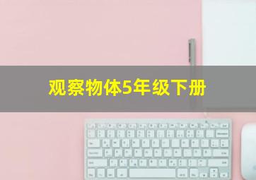 观察物体5年级下册