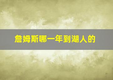 詹姆斯哪一年到湖人的