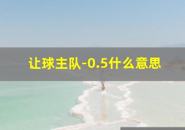 让球主队-0.5什么意思