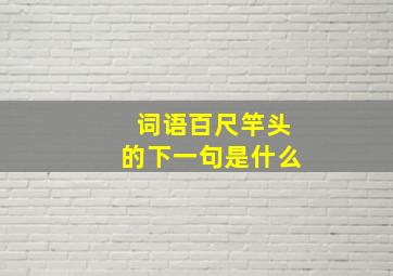 词语百尺竿头的下一句是什么