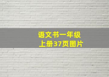 语文书一年级上册37页图片