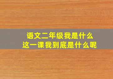 语文二年级我是什么这一课我到底是什么呢