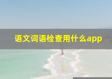 语文词语检查用什么app