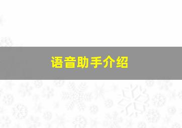 语音助手介绍