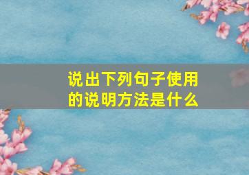 说出下列句子使用的说明方法是什么