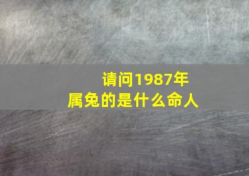 请问1987年属兔的是什么命人