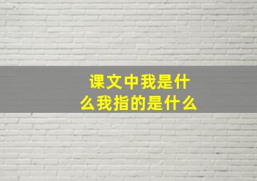 课文中我是什么我指的是什么