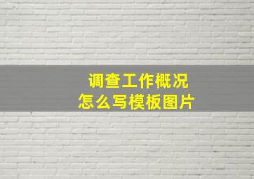 调查工作概况怎么写模板图片